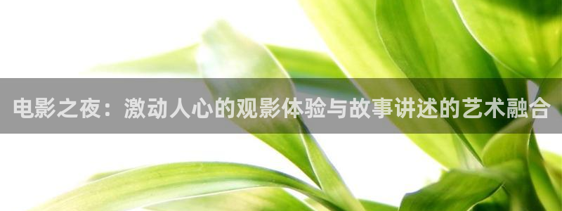秋霞在线观看视频理论