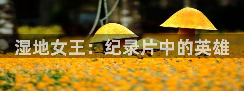 秋霞电影新或名