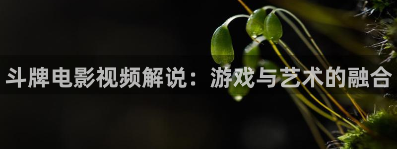 秋霞电影鲁丝片