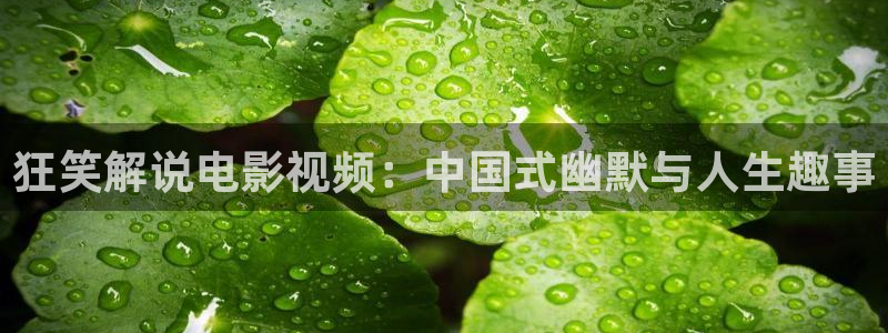 秋霞手机电影网在线观看