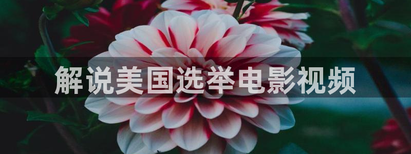 秋霞影院在线视频播放
