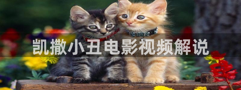 秋霞影视欧美