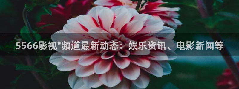 秋霞电影在线观看啵啵一区