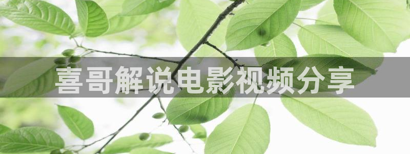 秋霞电影yy2933