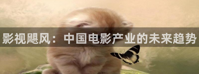 秋霞影院理论片在线观看