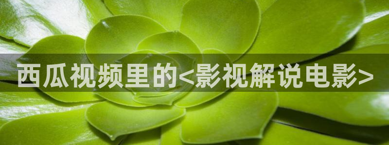 秋霞电影网久久久