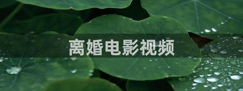 秋霞伦理影院在线观看