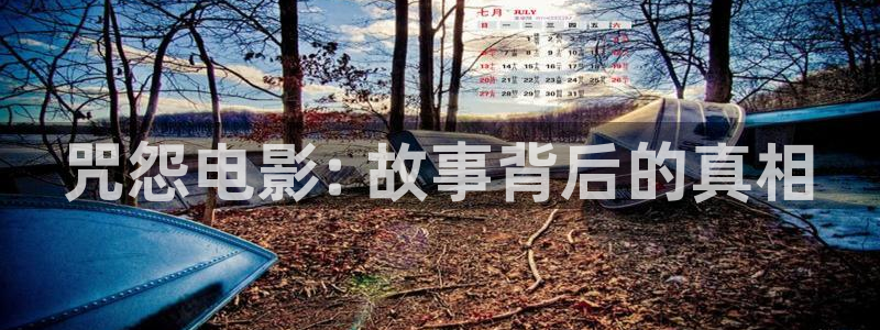 秋霞视频电影网