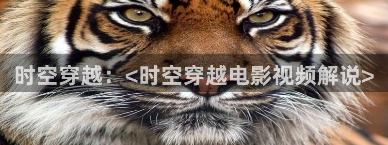 秋霞福利在线视频