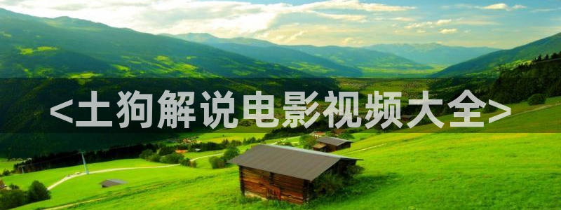 秋霞网在线观看视频