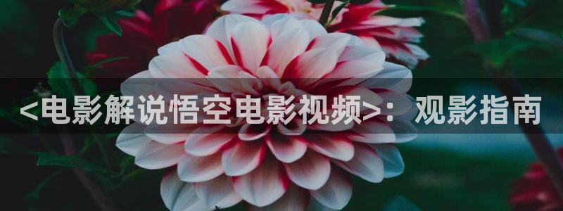2020秋霞电影