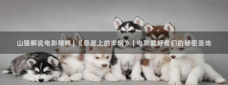 秋霞电影1 a区