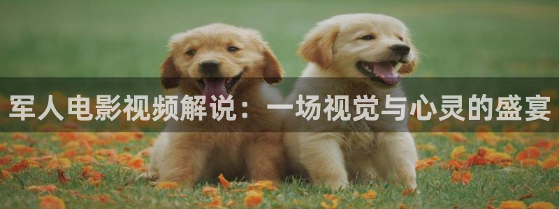 类似秋霞网