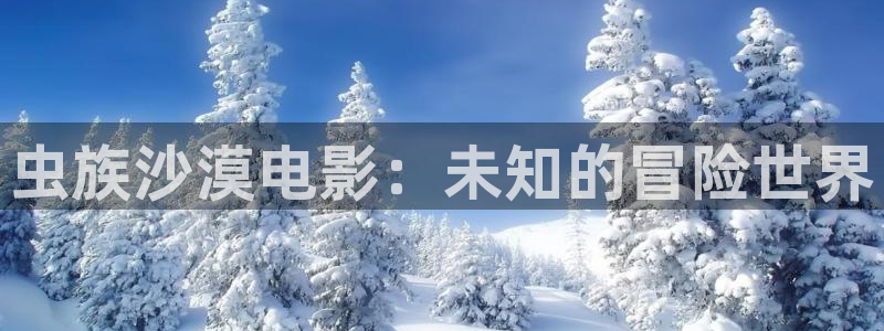 秋霞影院a区