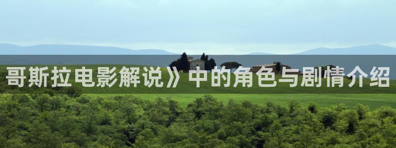 秋霞毛毛片