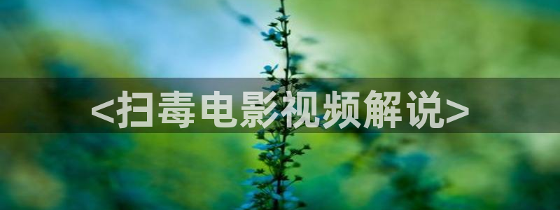 秋霞影院伦理在线