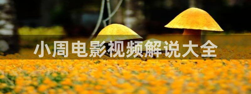 秋霞电影网秋霞影院