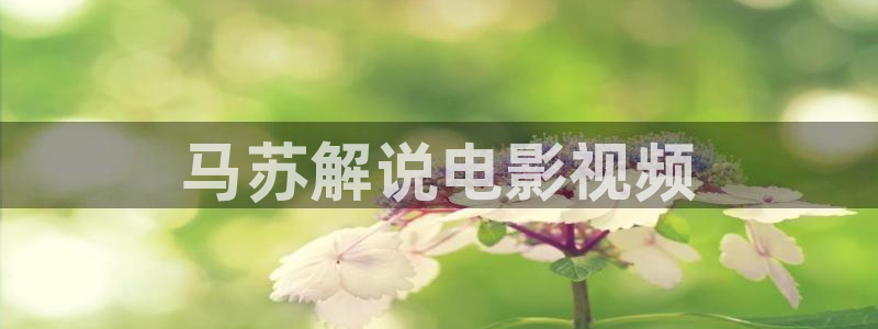 神马秋霞影视网