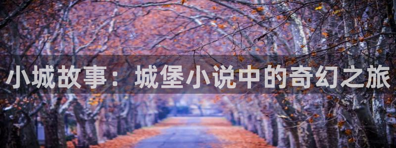 秋霞在线成人网