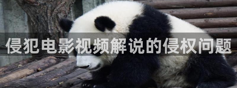 秋霞成人免费电影