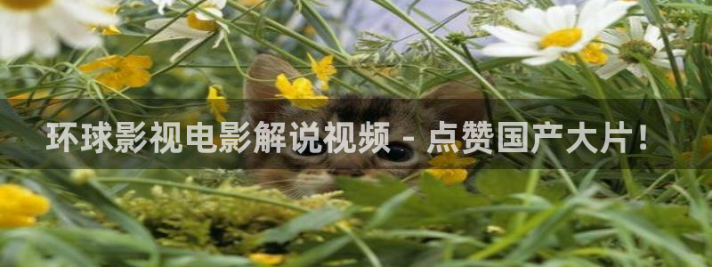 秋霞电影限制