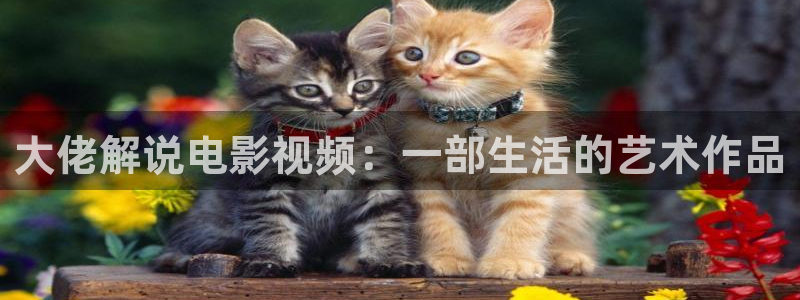 秋霞电影宅男