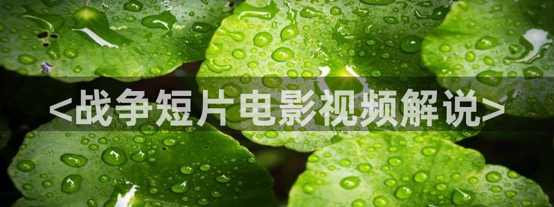 秋霞网址导航