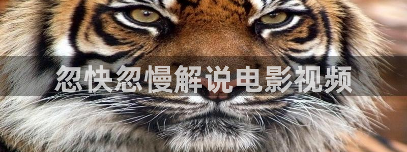 秋霞电影国产伦理