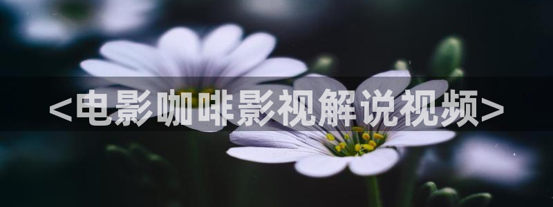 秋霞手机免费电影网