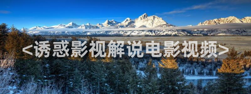 秋霞电影手机观看
