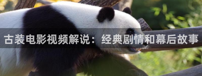 秋霞理论福利电影