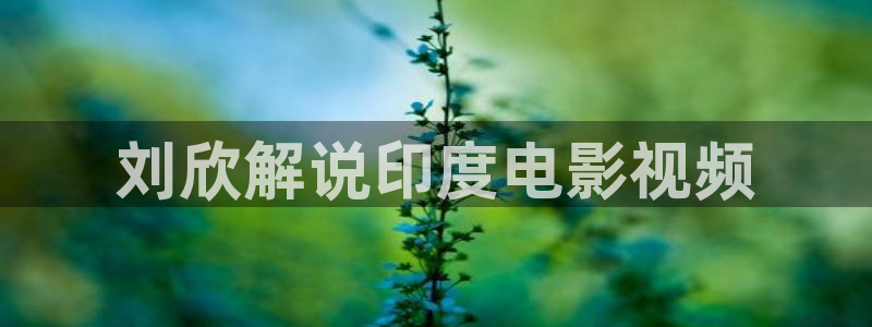 韩国电影伦理片秋霞网
