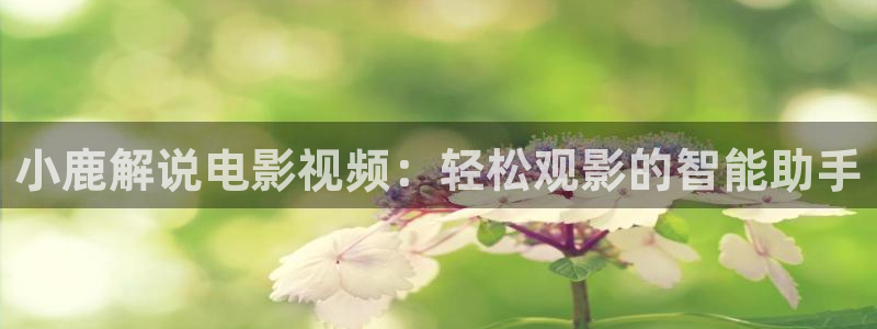 秋霞网高清
