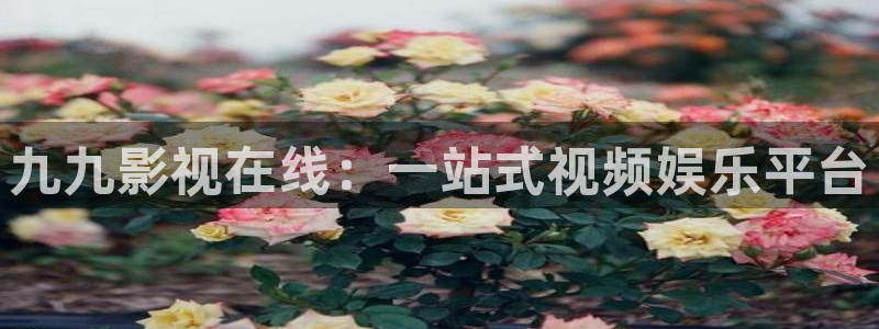 秋霞网最新网址