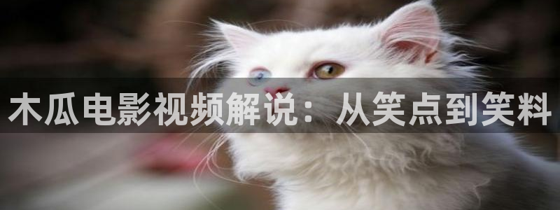 秋霞手机伦理网