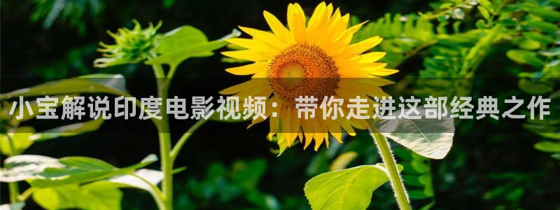 秋霞在线26