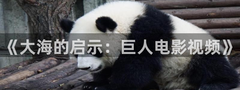 手机看片秋霞网