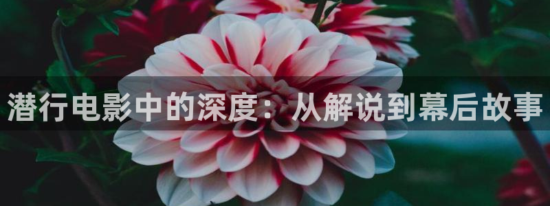 秋霞电影手机免费在线观看