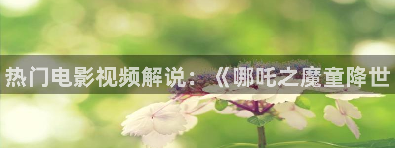 秋霞伦理片在线看