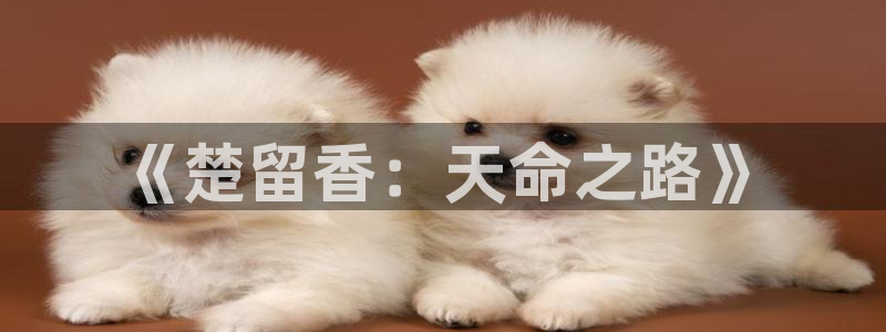 秋霞电影午