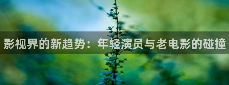 秋霞电影8