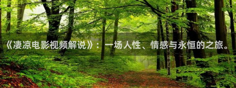 韩剧网秋霞